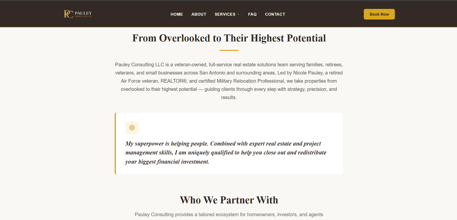 Pauley Consulting site page
